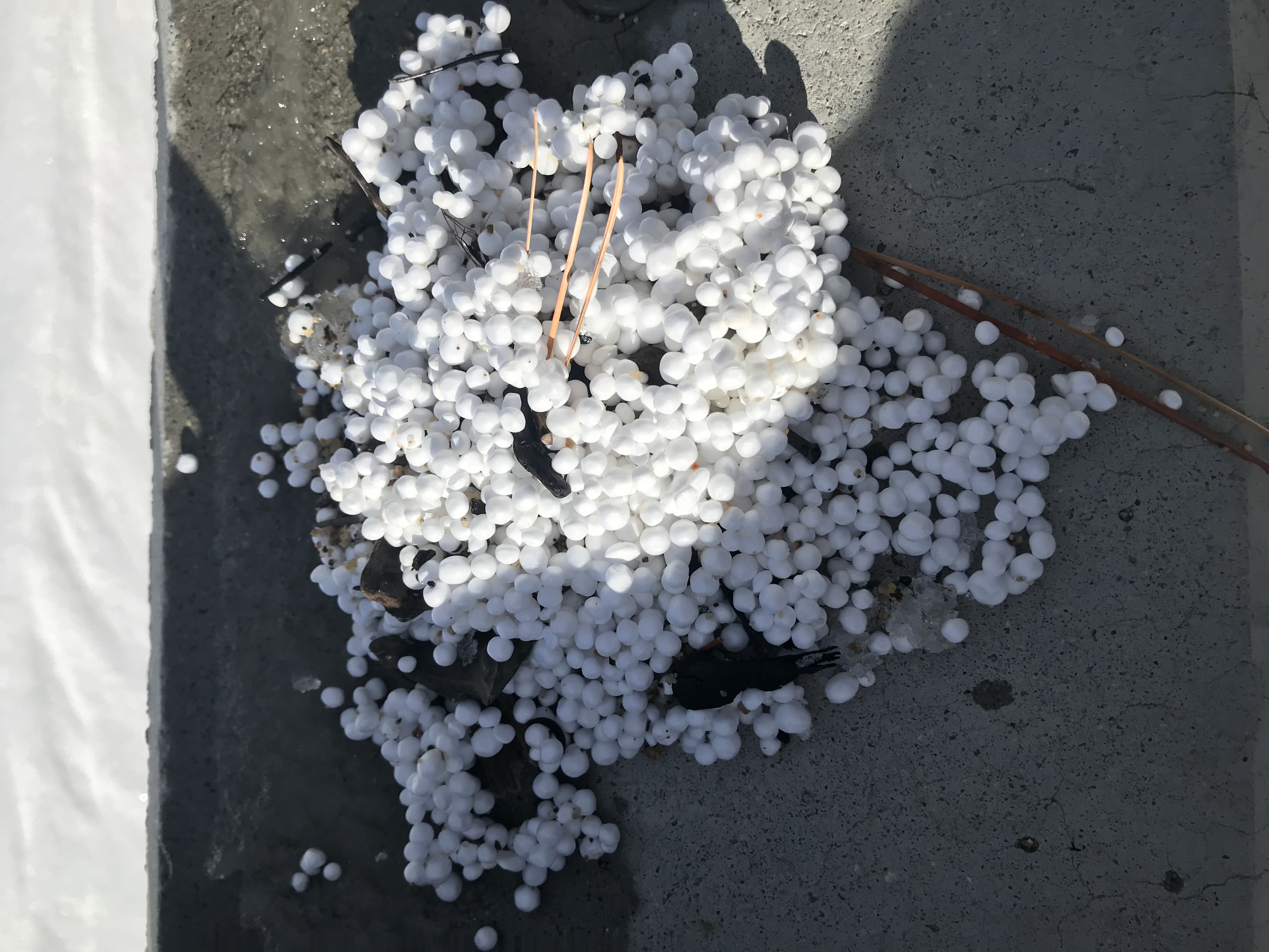 More Styrofoam Beads Litter Lake Tahoe Beach Due To Burst Dock